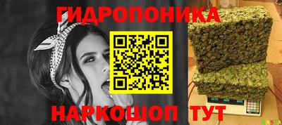 PSILOCYBIN Кунгур