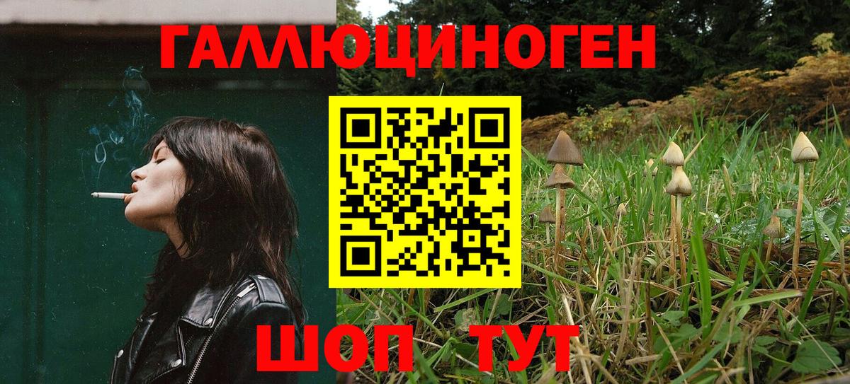 Усолье-Сибирское  Псилоцибиновые грибы ЛСД  Вход с VPN 
