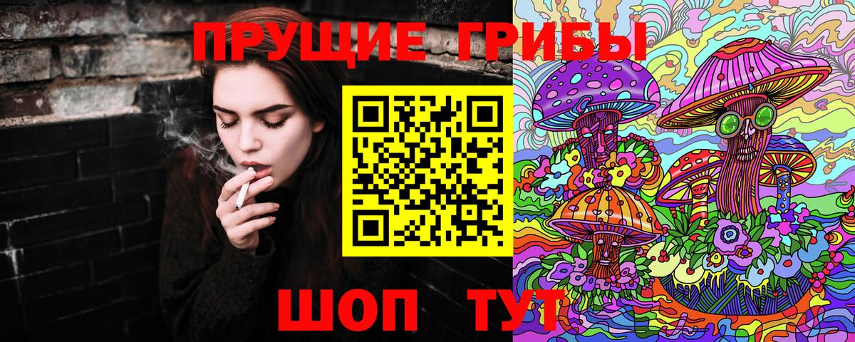 Псилоцибиновые грибы Psilocybe Усолье-Сибирское